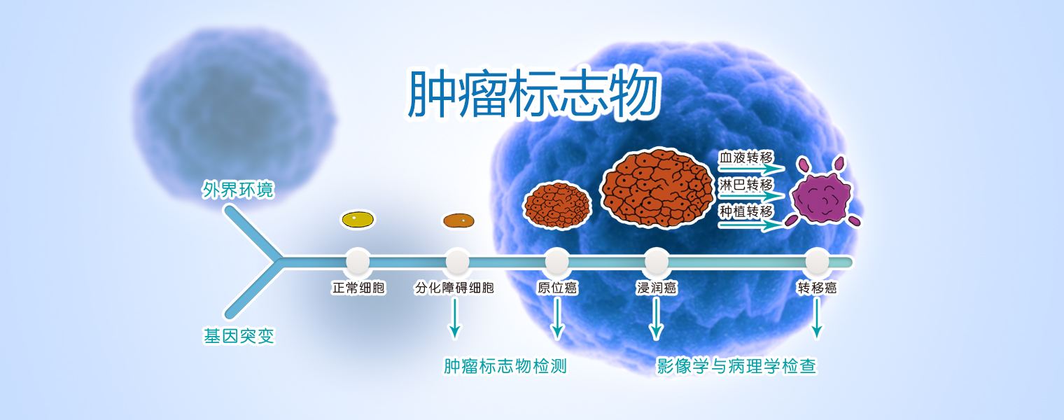 灵芝可以抗肿瘤你知道吗?附抗肿瘤的原理及疗效特点.